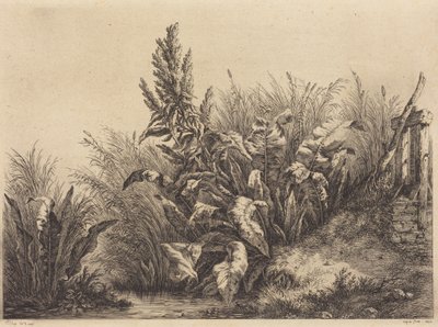 Waterzuring door Eugene Bléry
