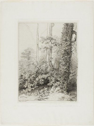 Braam en klimop door Eugene Bléry