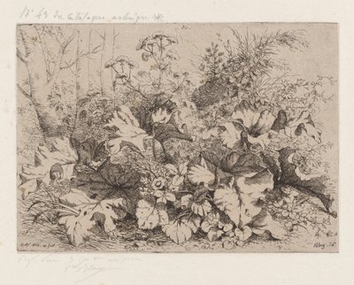 Klit in bloei, 1858 door Eugene Bléry