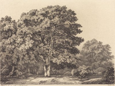 Ingang naar een Bos door Eugene Bléry
