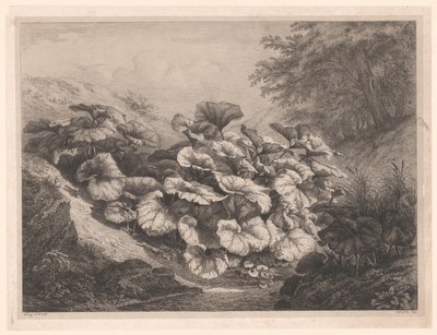 Groot hoefblad door Eugene Bléry