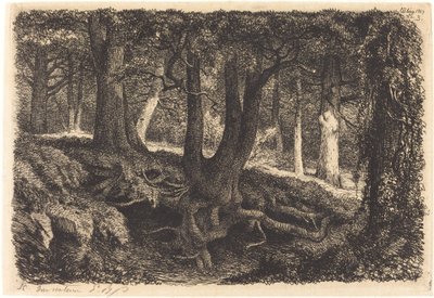 Boom met Wortels door Eugene Bléry
