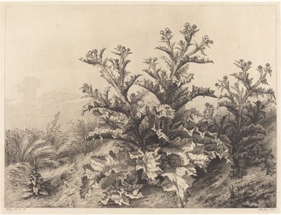 Grote Distel door Eugene Bléry