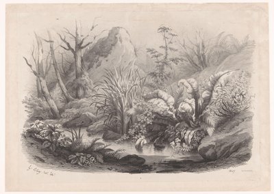 Oeverplanten bij een beek door Eugene Bléry