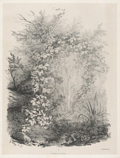 Planten en Klimop bij een Stroom door Eugene Bléry