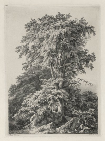 Studies Getekend en Gegraveerd naar de Natuur: Het Strand, Fontainebleau (Études dessinées et Gravées D