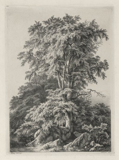 Studies getekend en gegraveerd naar de natuur: Het strand, Fontainebleau..., 1840 door Eugene Bléry