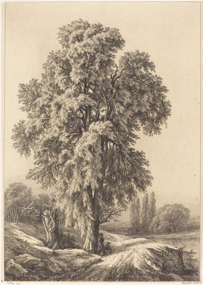 De Iep, 1840 door Eugene Bléry