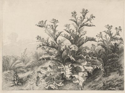 De Grote Distel door Eugene Bléry