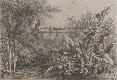 De Vijver door Eugene Bléry