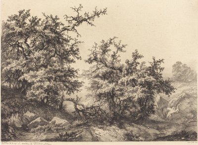 Doornstruiken door Eugene Bléry