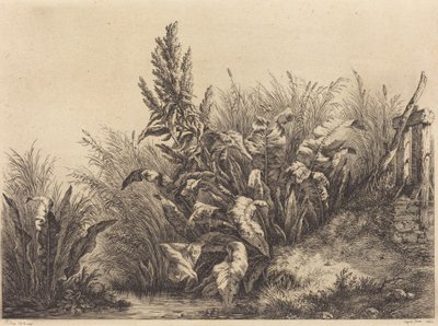 Waterdok door Eugene Bléry