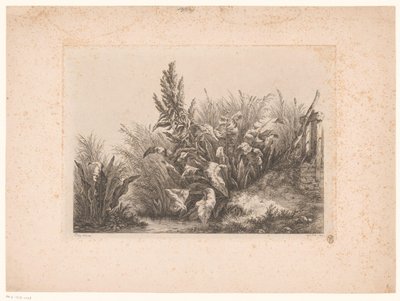 Waterzuring en riet aan de oever door Eugene Bléry