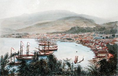 Uitzicht op Saint-Pierre gezien vanaf de kanonbatterij bij Sainte-Marthe, Martinique door Eugene Ciceri