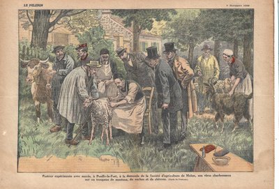 In Pouilly-le-Fort, op verzoek van de Melun Landbouwvereniging, testte Pasteur met succes zijn miltvuurvirus op een kudde schapen, koeien en geiten., Le Pèlerin, 5/11/1922 door Eugene Damblans