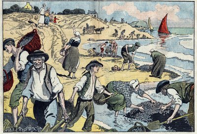 De inwoners van de Thouais-kustlijn oogsten mosselen. Kernevel, Finistère (29), Bretagne. Illustratie van Damblans. In 