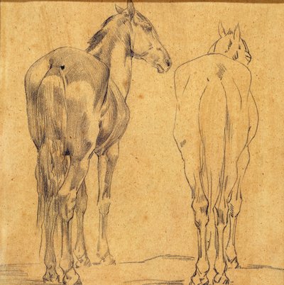 Studie von zwei Pferden door Eugène Fromentin
