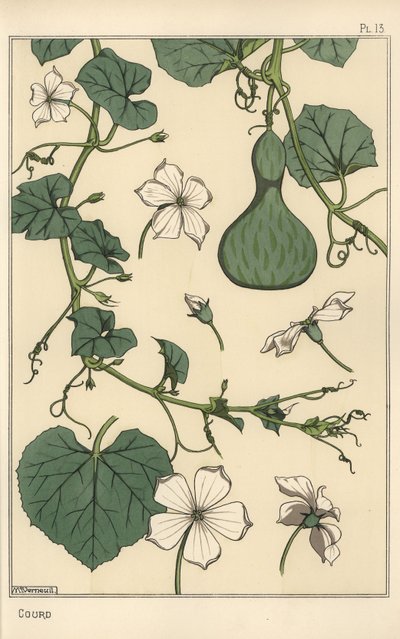 Botanische illustratie van de kalebas door Eugene Grasset