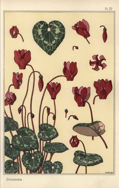 Cyclamen plant, met details van de bloem, bladeren, bloemblaadjes door Eugene Grasset