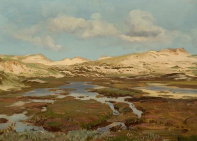 E. Dücker, Heide landschap door Eugene Gustav Dücker