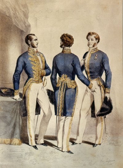 Raad van State, Uniformen van de Vicepresident, Adviseur en de Meester van Verzoeken door Eugene Joseph Lejeune