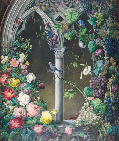 Trossen rozen, Ipomoea en druivenranken, rond een arcade in een fantasierijke gotische stijl, twee vogels, soort onbekend, en een tijgermot door Eugene Joseph Prevost