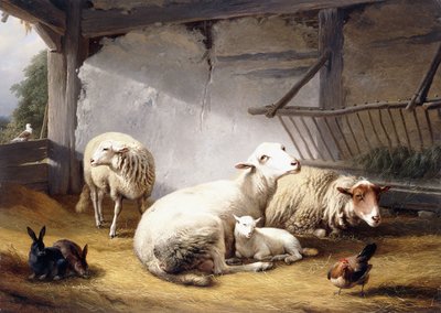 Schapen, Konijnen en een Kip in een Schuur door Eugene Joseph Verboeckhoven