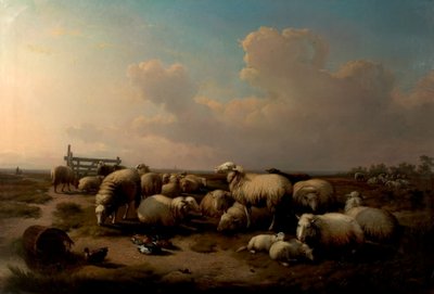 De Schapen door Eugene Joseph Verboeckhoven