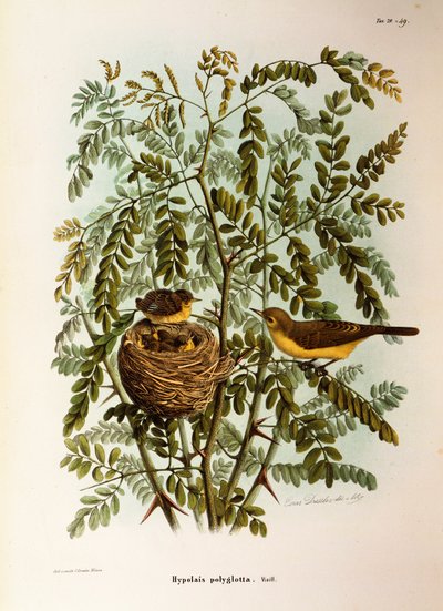 Illustratie uit Eugenio Bettoni