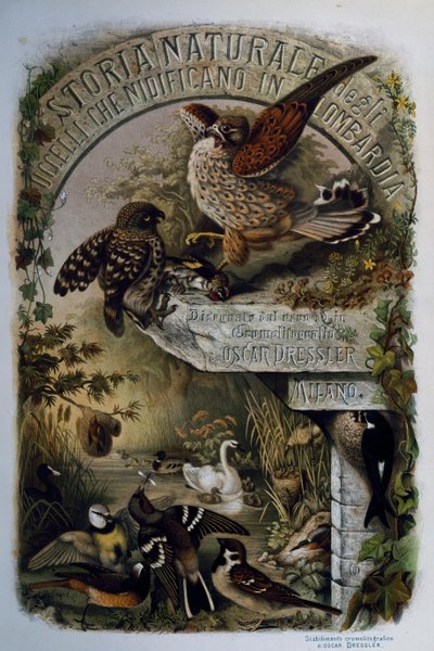 Titelpagina van Natuurlijke Historie van Vogels die nestelen in Lombardije, door Eugenio Bettoni, gravure door Oscar Dressler, Italië door Eugenio Bettoni, Oscar Dressler