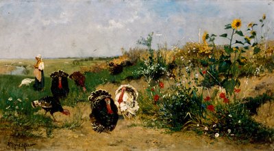 Kalkoenen door Eugenio Spreafico