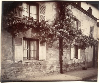 Glycine (Wisteria), Châtillon door Eugène Atget
