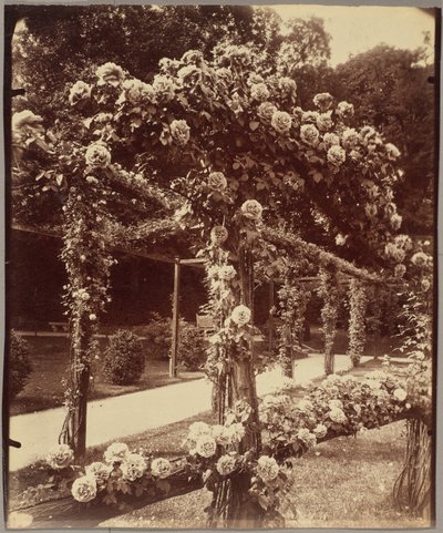 [Jardin de Bagatelle]. door Eugène Atget