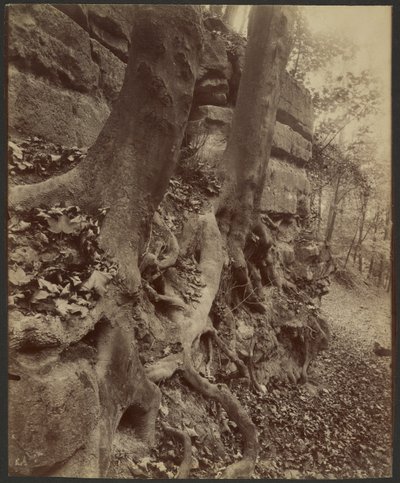 Saint-Cloud Park door Eugène Atget