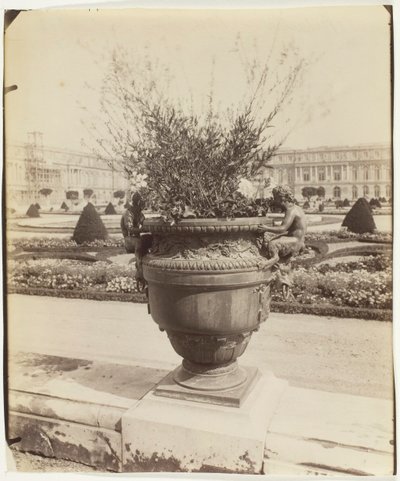 Versailles, vaas door Ballin door Eugène Atget