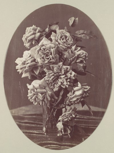 [Rozen], ca. 1875 door Eugène Chauvigné