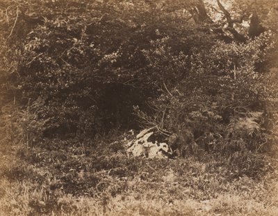 Een Rots in het Bos, c. 1865 door Eugène Cuvelier