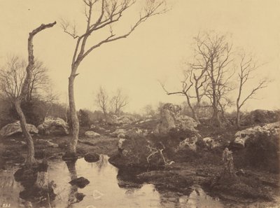 Belle Croix, ca 1858 (foto) door Eugène Cuvelier