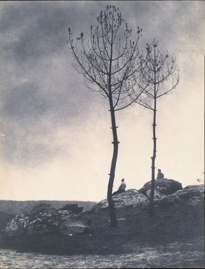 Près de la Caverne, Terrain Brûlé, begin 1860s door Eugène Cuvelier