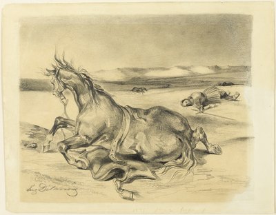 Gevallen paard en dode ridder door Eugène Delacroix