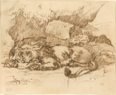 Leeuw die een Konijn Verslindt door Eugène Delacroix