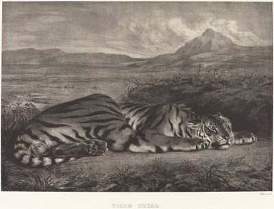 Koninklijke Tijger door Eugène Delacroix