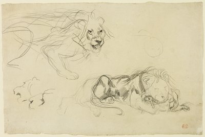 Studies van leeuwen door Eugène Delacroix