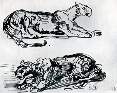 Studies van panters, 1913 door Ferdinand Victor Eugene Delacroix