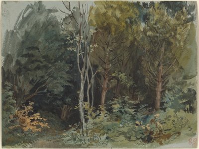 De rand van een bos bij Nohant door Eugène Delacroix