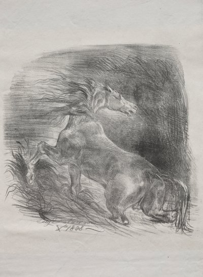 Het Wilde Paard, of Geschrokken Paard dat het Water Verlaat door Eugène Delacroix