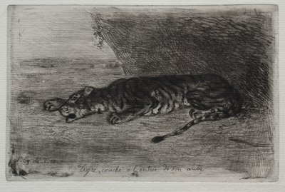 Slapende Tijger bij de Ingang van Zijn Hol door Eugène Delacroix