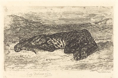 Tijger slapend in de woestijn door Eugène Delacroix