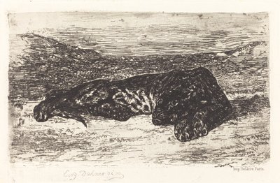 Tijger Slapend in de Woestijn door Eugène Delacroix