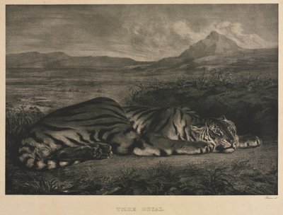 Koninklijke tijger door Eugène Delacroix